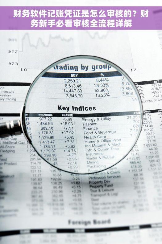 财务软件记账凭证是怎么审核的？财务新手必看审核全流程详解