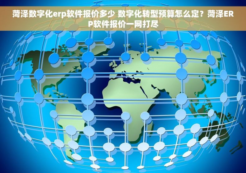 菏泽数字化erp软件报价多少 数字化转型预算怎么定？菏泽ERP软件报价一网打尽