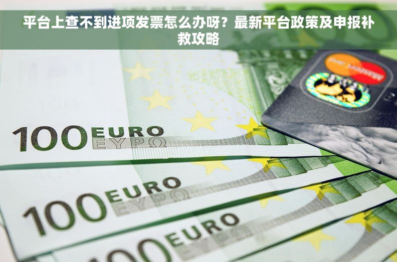 平台上查不到进项发票怎么办呀？最新平台政策及申报补救攻略