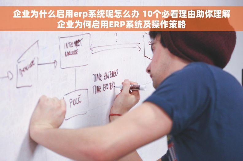 企业为什么启用erp系统呢怎么办 10个必看理由助你理解企业为何启用ERP系统及操作策略