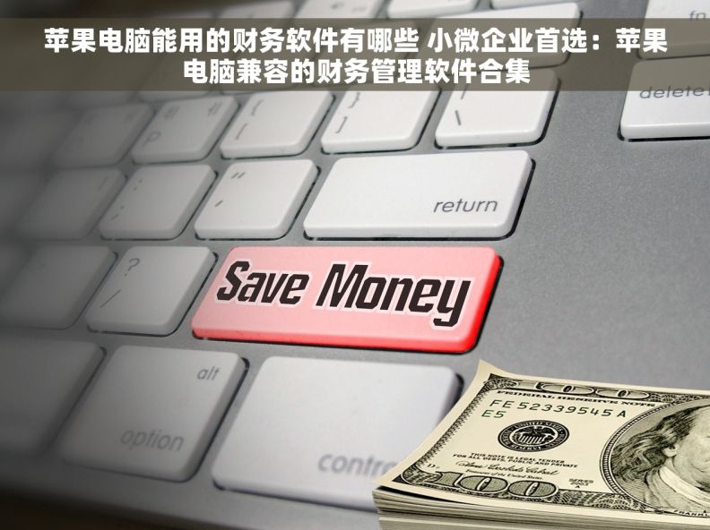 苹果电脑能用的财务软件有哪些 小微企业首选:苹果电脑兼容的财务管理软件合集 苹果电脑能用的财务软件有哪些 小微企业首选:苹果电脑兼容的财务管理软件合集