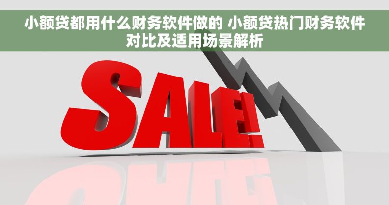 小额贷都用什么财务软件做的 小额贷热门财务软件对比及适用场景解析