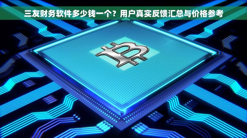 三友财务软件多少钱一个？用户真实反馈汇总与价格参考