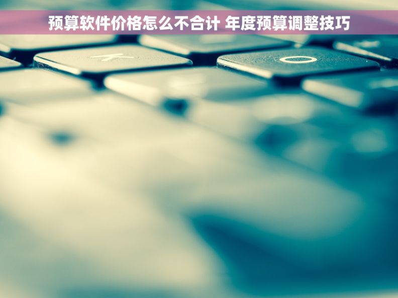 预算软件价格怎么不合计 年度预算调整技巧