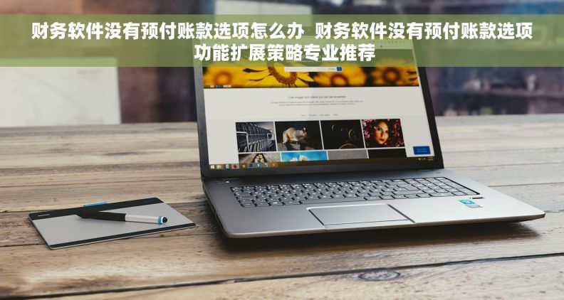 财务软件没有预付账款选项怎么办  财务软件没有预付账款选项 功能扩展策略专业推荐