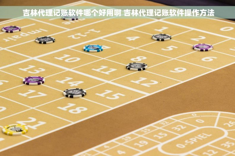  吉林代理记账软件哪个好用啊 吉林代理记账软件操作方法