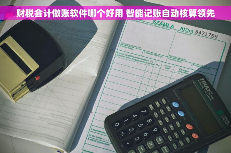 财税会计做账软件哪个好用 智能记账自动核算领先 财税会计做账软件哪个好用 智能记账自动核算领先
