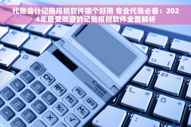 代账会计记账报税软件哪个好用 专业代账必备:2024年最受欢迎的记账报税软件全面解析 代账会计记账报税软件哪个好用 专业代账必备:2024年最受欢迎的记账报税软件全面解析