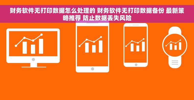 财务软件无打印数据怎么处理的 财务软件无打印数据备份 最新策略推荐 防止数据丢失风险