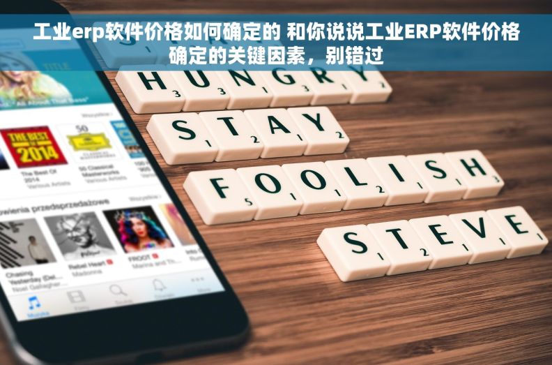 工业erp软件价格如何确定的 和你说说工业ERP软件价格确定的关键因素，别错过