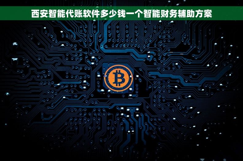 西安智能代账软件多少钱一个智能财务辅助方案