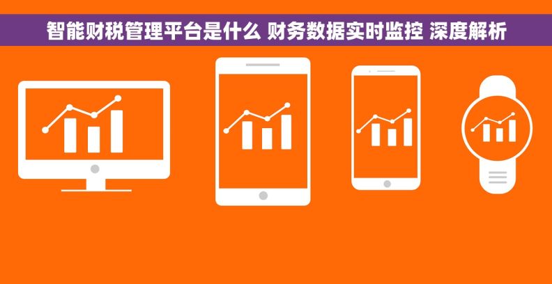 智能财税管理平台是什么 财务数据实时监控 深度解析