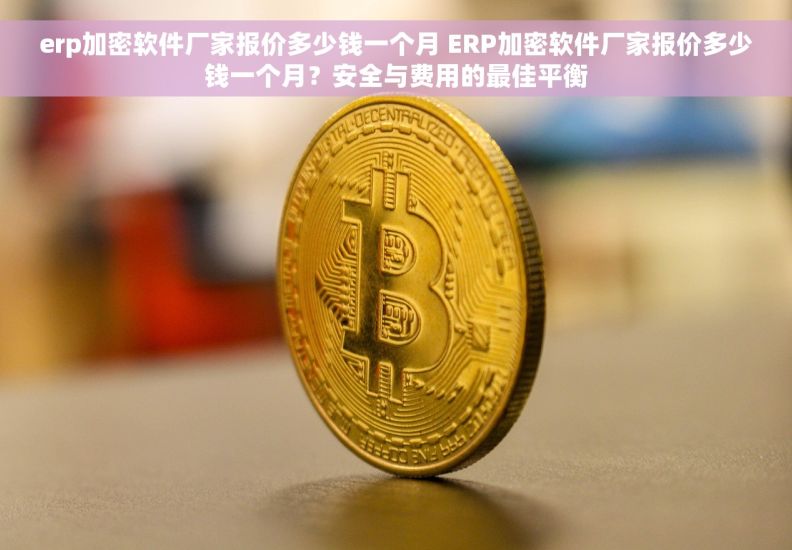 erp加密软件厂家报价多少钱一个月 ERP加密软件厂家报价多少钱一个月？安全与费用的最佳平衡