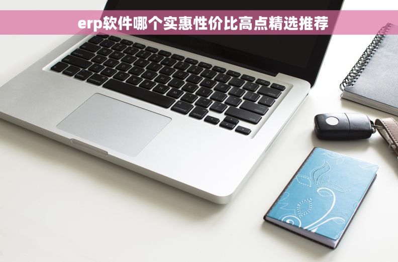   erp软件哪个实惠性价比高点精选推荐