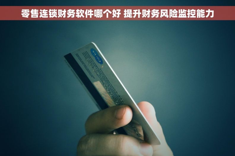 零售连锁财务软件哪个好 提升财务风险监控能力