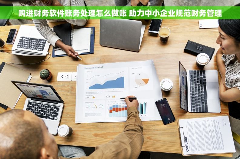 购进财务软件账务处理怎么做账 助力中小企业规范财务管理