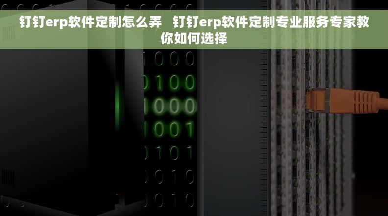 钉钉erp软件定制怎么弄   钉钉erp软件定制专业服务专家教你如何选择