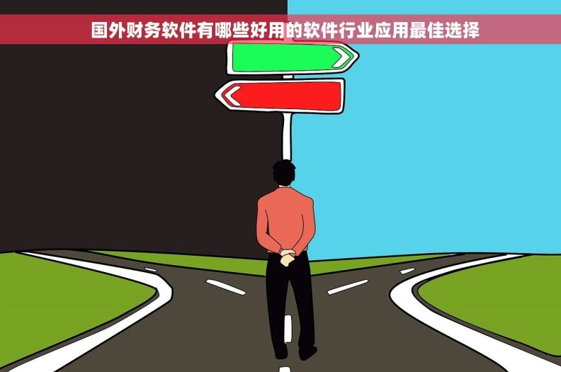   国外财务软件有哪些好用的软件行业应用最佳选择