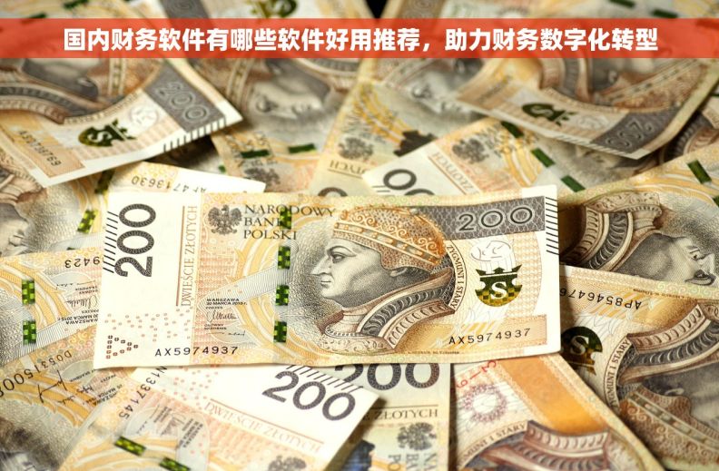 国内财务软件有哪些软件好用推荐，助力财务数字化转型