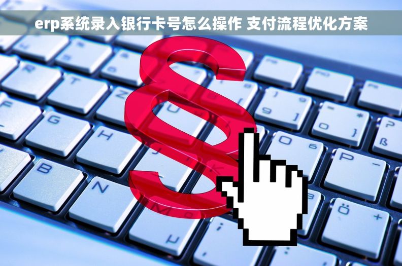 erp系统录入银行卡号怎么操作 支付流程优化方案 erp系统录入银行卡号怎么操作 支付流程优化方案