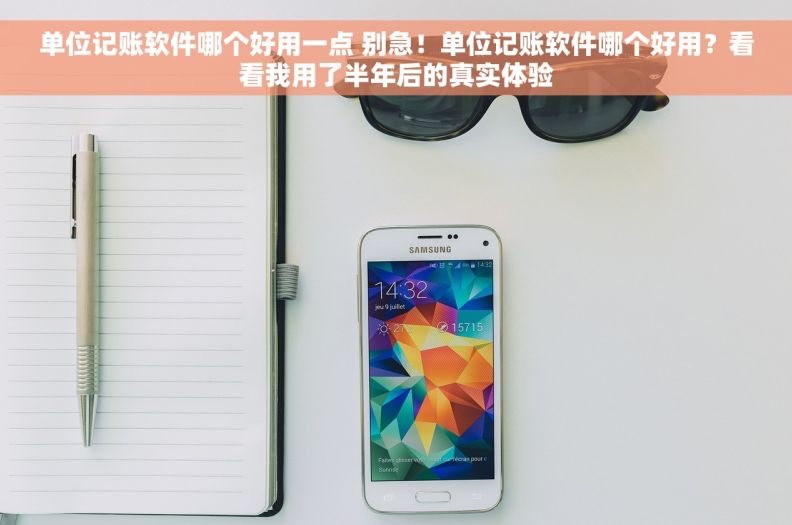 单位记账软件哪个好用一点 别急！单位记账软件哪个好用？看看我用了半年后的真实体验