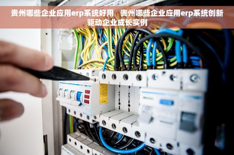 贵州哪些企业应用erp系统好用   贵州哪些企业应用erp系统创新驱动企业成长实例