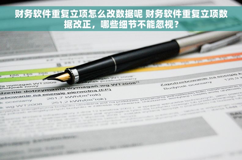 财务软件重复立项怎么改数据呢 财务软件重复立项数据改正，哪些细节不能忽视？