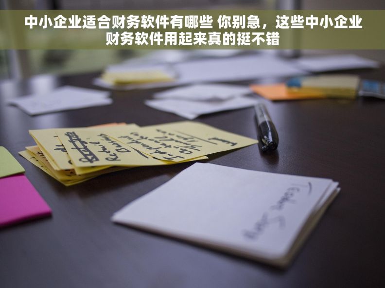 中小企业适合财务软件有哪些 你别急，这些中小企业财务软件用起来真的挺不错