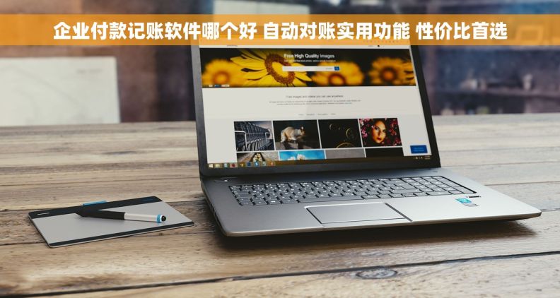 企业付款记账软件哪个好 自动对账实用功能 性价比首选