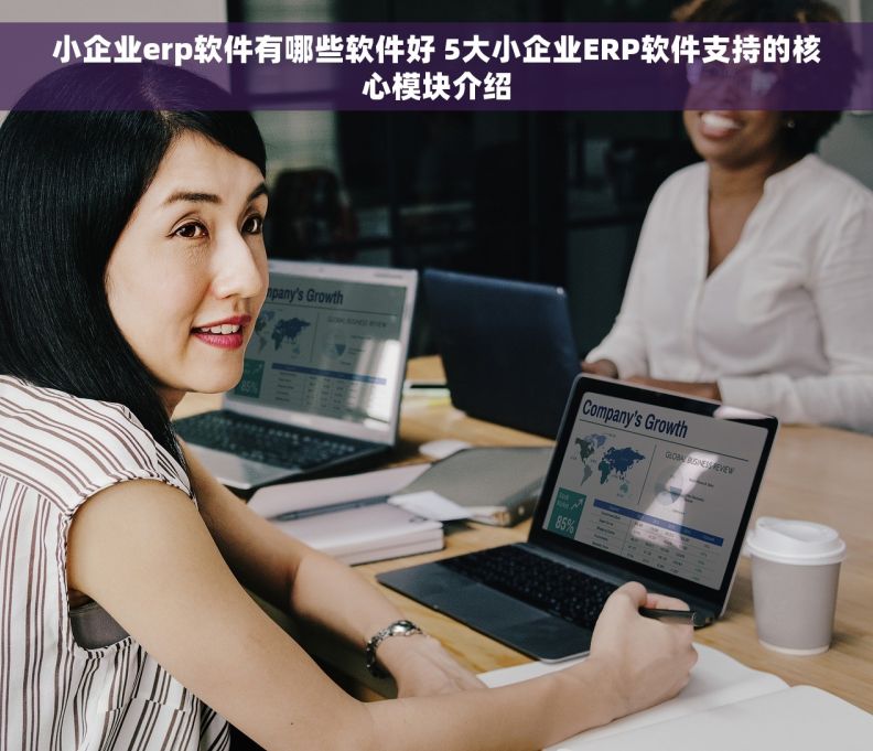 小企业erp软件有哪些软件好 5大小企业ERP软件支持的核心模块介绍 小企业erp软件有哪些软件好 5大小企业ERP软件支持的核心模块介绍