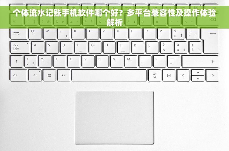 个体流水记账手机软件哪个好？多平台兼容性及操作体验解析