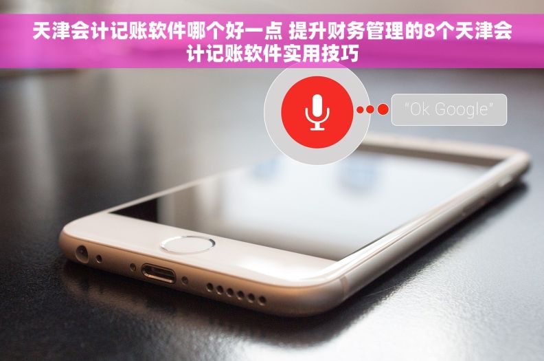 天津会计记账软件哪个好一点 提升财务管理的8个天津会计记账软件实用技巧 天津会计记账软件哪个好一点 提升财务管理的8个天津会计记账软件实用技巧