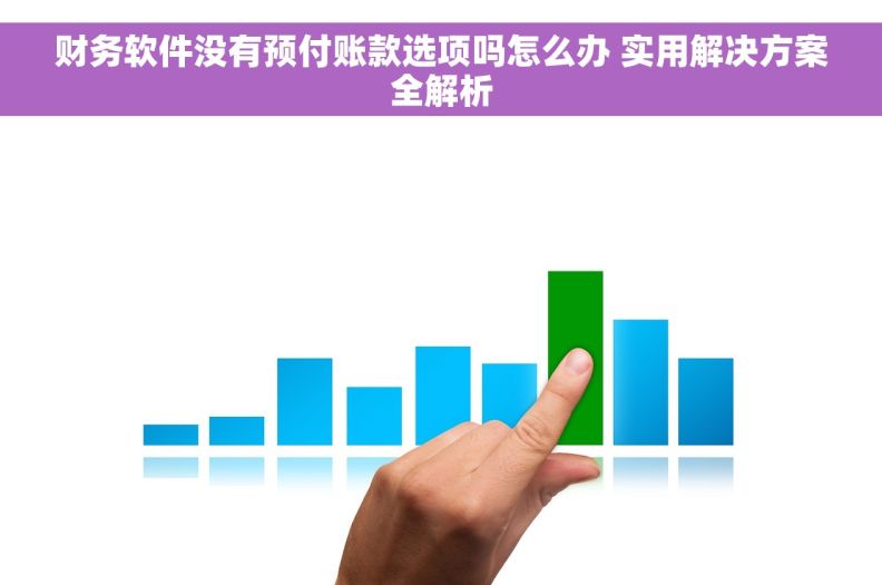 财务软件没有预付账款选项吗怎么办 实用解决方案全解析 财务软件没有预付账款选项吗怎么办 实用解决方案全解析