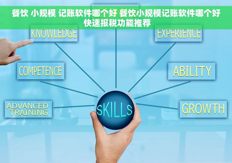餐饮 小规模 记账软件哪个好 餐饮小规模记账软件哪个好 快速报税功能推荐