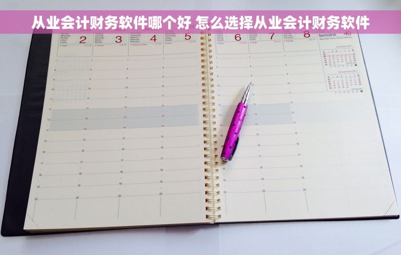从业会计财务软件哪个好 怎么选择从业会计财务软件