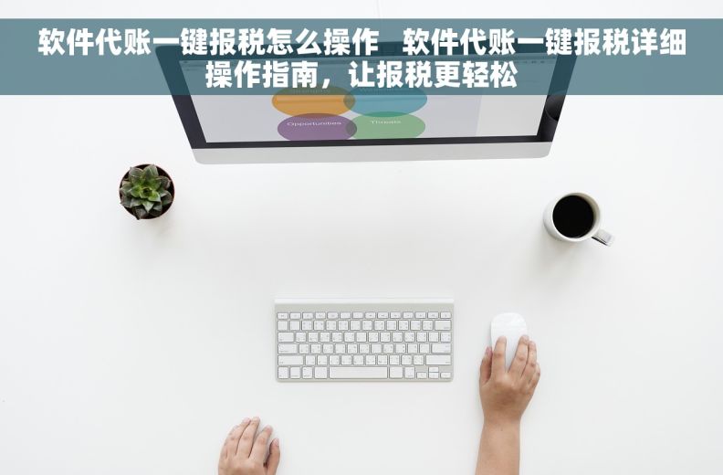 软件代账一键报税怎么操作   软件代账一键报税详细操作指南，让报税更轻松