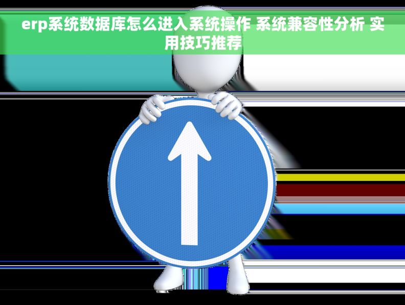 erp系统数据库怎么进入系统操作 系统兼容性分析 实用技巧推荐