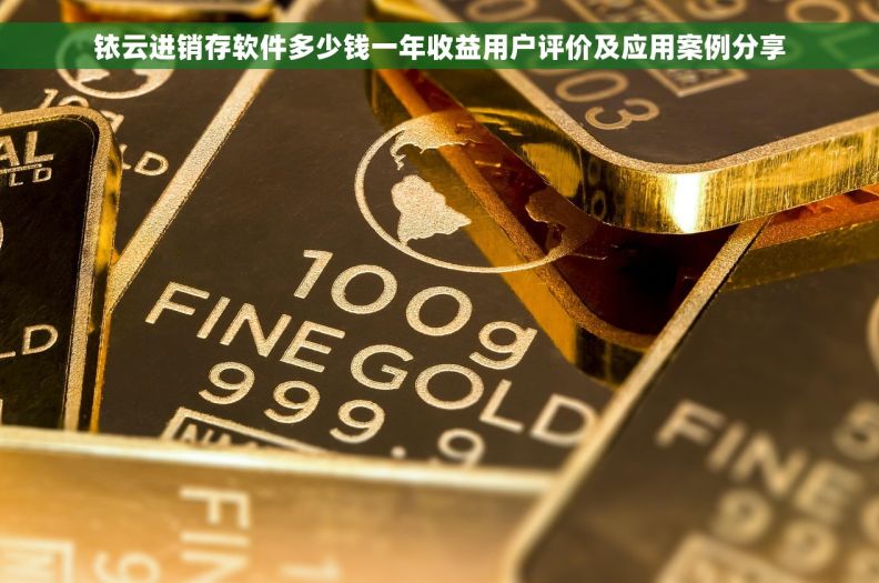铱云进销存软件多少钱一年收益用户评价及应用案例分享