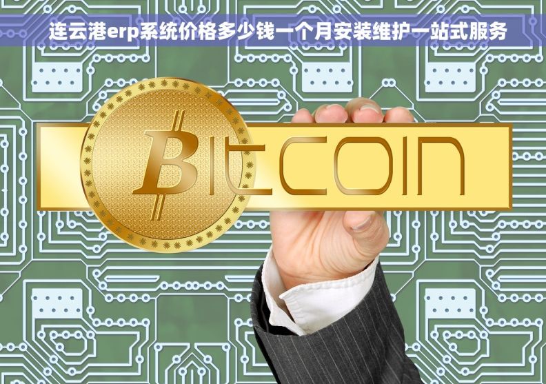   连云港erp系统价格多少钱一个月安装维护一站式服务