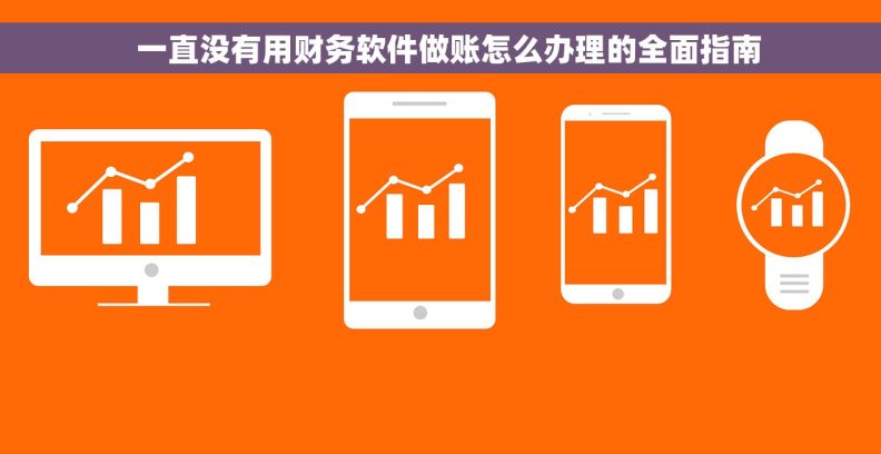   一直没有用财务软件做账怎么办理的全面指南