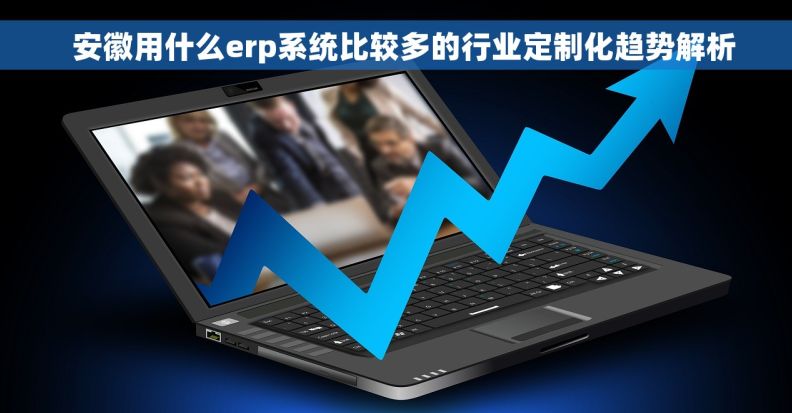   安徽用什么erp系统比较多的行业定制化趋势解析