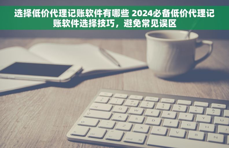 选择低价代理记账软件有哪些 2024必备低价代理记账软件选择技巧，避免常见误区