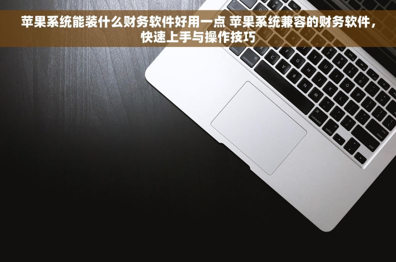 苹果系统能装什么财务软件好用一点 苹果系统兼容的财务软件，快速上手与操作技巧