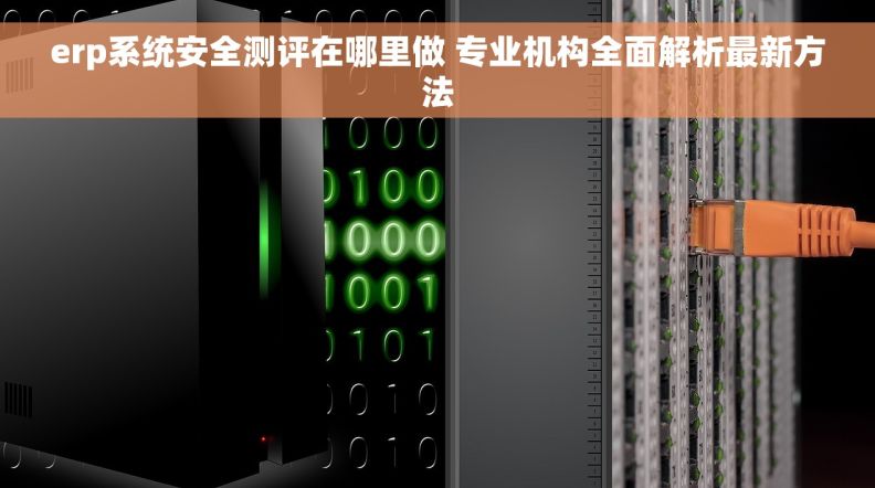 erp系统安全测评在哪里做 专业机构全面解析最新方法