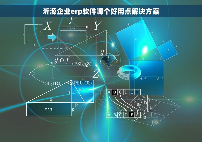 沂源企业erp软件哪个好用点解决方案