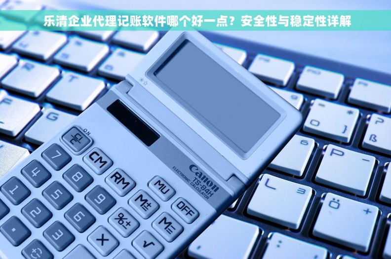 乐清企业代理记账软件哪个好一点？安全性与稳定性详解