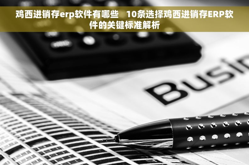 鸡西进销存erp软件有哪些   10条选择鸡西进销存ERP软件的关键标准解析