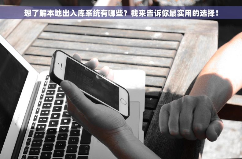 想了解本地出入库系统有哪些？我来告诉你最实用的选择！