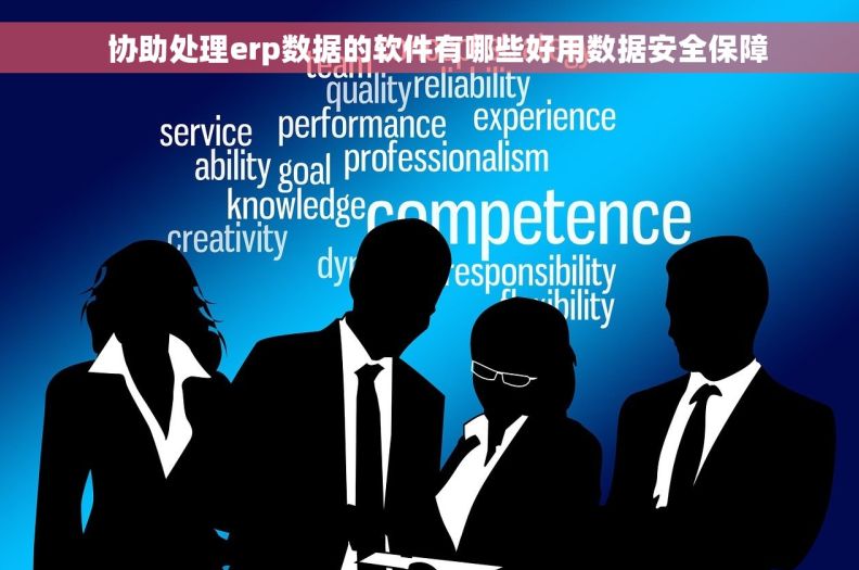   协助处理erp数据的软件有哪些好用数据安全保障