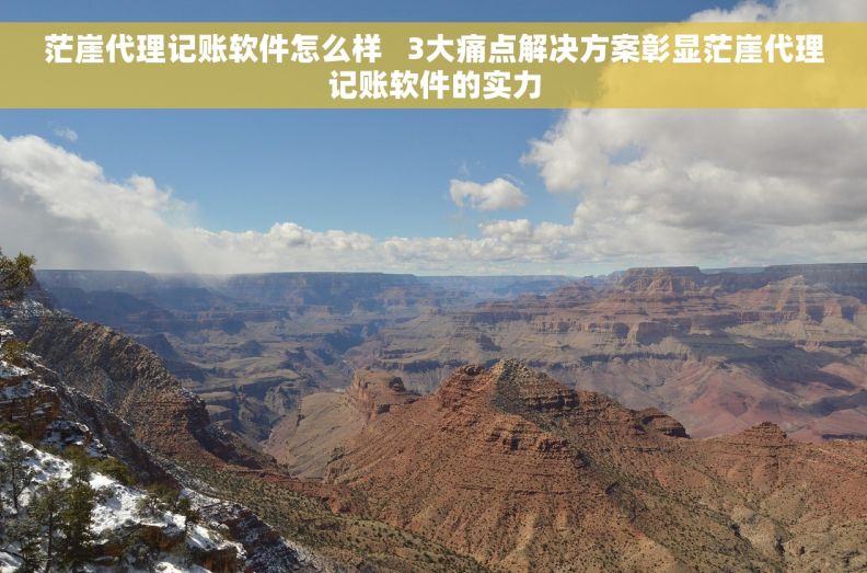 茫崖代理记账软件怎么样 3大痛点解决方案彰显茫崖代理记账软件的实力 茫崖代理记账软件怎么样 3大痛点解决方案彰显茫崖代理记账软件的实力